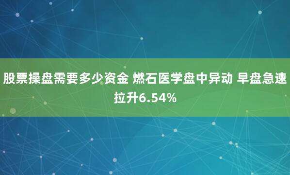 股票操盘需要多少资金 燃石医学盘中异动 早盘急速拉升6.54%