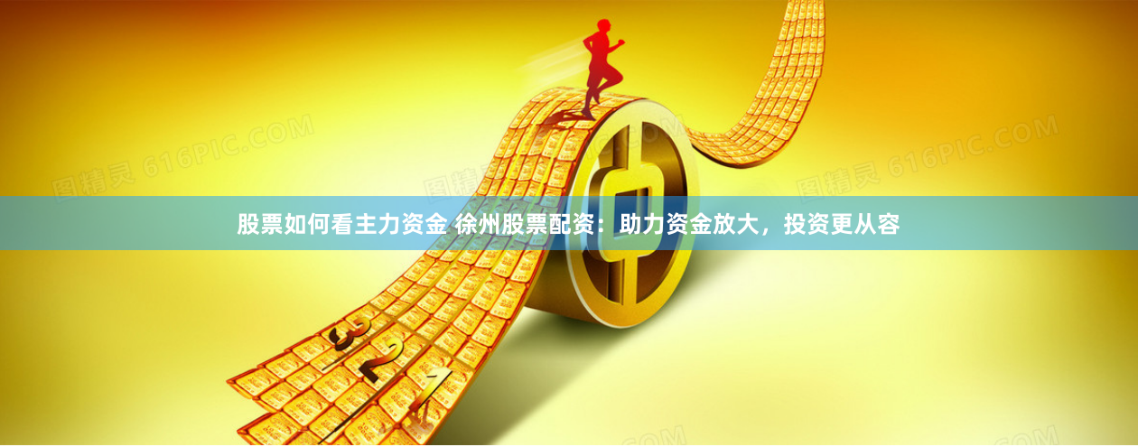 股票如何看主力资金 徐州股票配资：助力资金放大，投资更从容